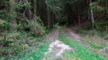  Blick auf die Wanderstrecke - Mltersteg 