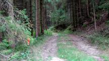  Blick auf die Wanderstrecke - Mltersteg 