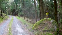  Blick auf die Wanderstrecke nach Hhendorf 