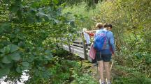 Blick zu einer Wandergruppe beim Husler Steg ber den "Kleinen Kamp" 