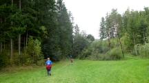  Blick auf die Wanderstrecke 
