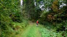  Blick auf die Wanderstrecke 