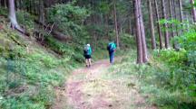  Blick auf die Wanderstrecke 