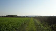  Blick auf die Wanderstrecke 