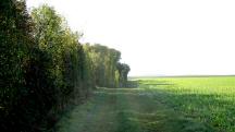  Blick auf die Wanderstrecke 