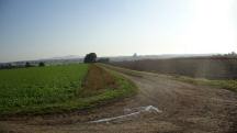  Blick auf die Wanderstrecke 