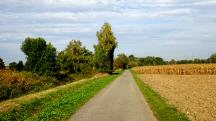  Blick auf die Wanderstrecke entlang des Gllersbachs 