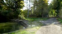  Blick auf die Wanderstrecke beim Sierndorfer Teich 