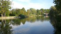  Blick auf den Sierndorfer Teich 