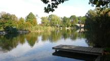  Blick auf den Sierndorfer Teich 