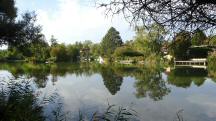 Blick ber den Sierndorfer Teich zur Hans Rauscher Siedlung