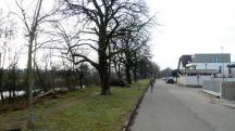  Wanderstrecke auf der Traisenpromenade 