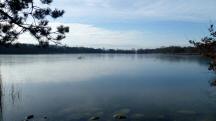  nochmals ein Blick auf den Groen Viehofner See 