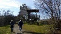  Blick auf die Wanderstrecke 
