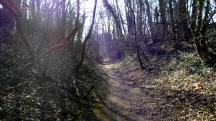  Wanderoute ber den Weiterner Kellerweg 