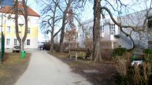  Blick auf die Wanderstrecke beim Kienzl Park 
