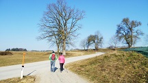  Blick auf die Wanderstrecke bei Gumpenberg 