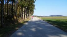  Wanderroute auf der L6041