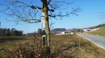 Blick zu einen Wegkreuz an der L6017 bei Krahof 2