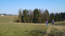  Blick auf die Wanderstrecke 
