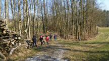  Blick auf die Wanderstrecke 