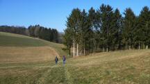  Blick auf die Wanderstrecke 