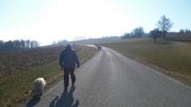  Wanderroute auf der L6017 