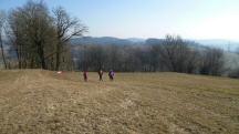  Blick auf die Wanderstrecke auf dem Geilberg 