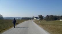  Wanderroute auf der L6052 nach Vogelsang 