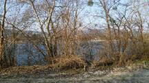  Blick auf die Wanderstrecke bei der Donau 