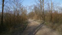  Blick auf die Wanderstrecke 