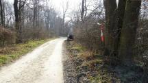 Blick auf die Wanderstrecke entlang des Krumpenwassers