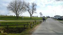 Blick auf die Wanderstrecke am Ortsende von Ferschnitz