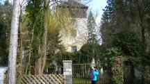 Blick zum Schloss Freidegg (Freydegg) 
