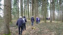  Blick auf die Wanderstrecke 