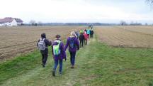 Blick auf die Wanderstrecke in der Streusiedlung Kirchholz