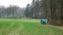  Blick auf die Wanderstrecke 
