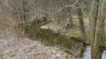  Blick auf den Ferschnitzbach 