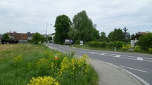 Blick auf die Wanderstrecke bei der Hauptstrae
