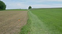 Blick auf die Wanderstrecke