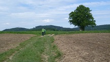 Blick auf die Wanderstrecke