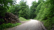  Blick auf die Wanderstrecke
