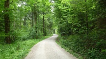  Blick auf die Wanderstrecke
