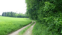  Blick auf die Wanderstrecke