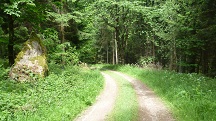   Blick auf die Wanderstrecke