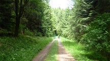  Blick auf die Wanderstrecke
