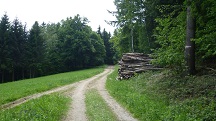  Blick auf die Wanderstrecke