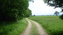  Blick auf die Wanderstrecke
