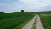  Blick auf die Wanderstrecke