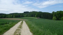  ein Blick zurck 